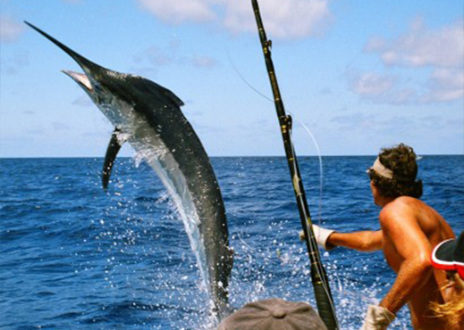 deep sea fishing mauritius